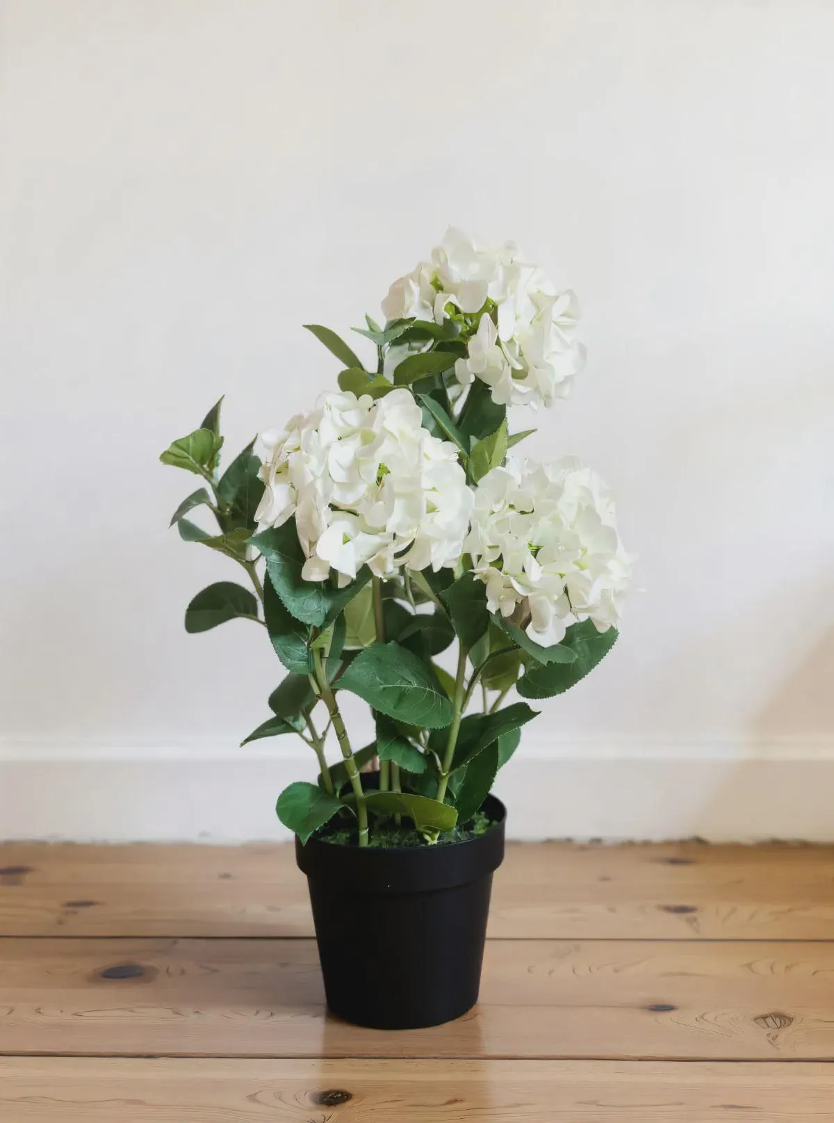 25" Fresh Touch White Hydrangea In a Plastic Black Pot /Artificial Greenery/Holiday Decor/Christmas Decor/Seasonal/Long Garland