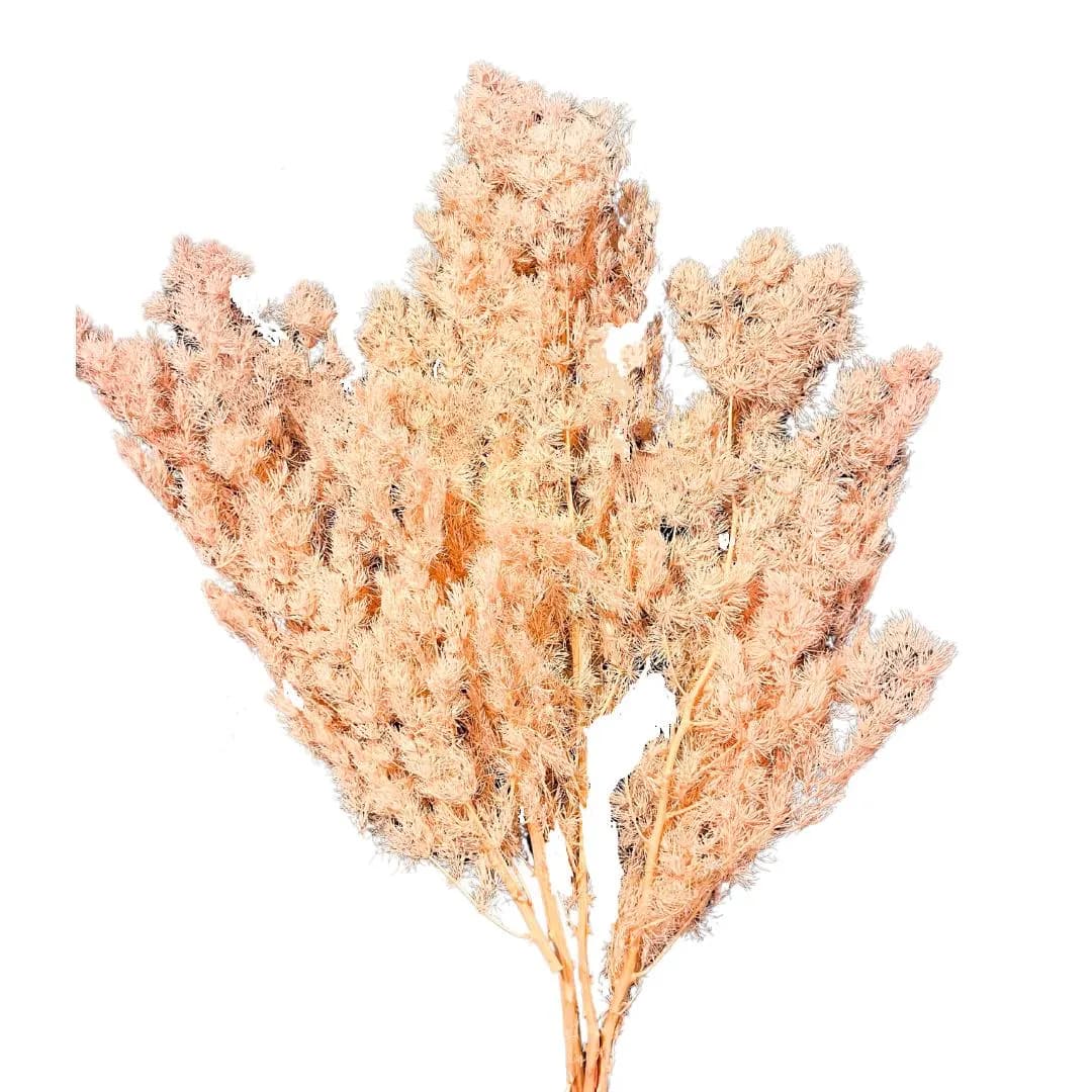 24" Peach Ming Fern Bundle/Pampas Bundle/Home Decor/Rustic Wedding Decor/Brown Pampas/Ivory Pampas/Bleached Ming Asparagus Dried