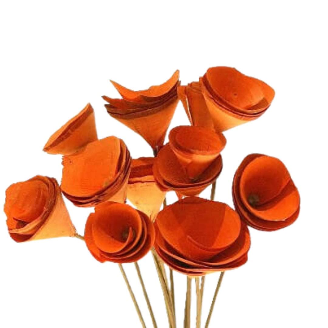 6PC Orange Wood Cones/Cones/Pine Cones On Sticks/Rustic Decor Idea/Rustic Bowl Filler/Home Decor/Rustic Table Decor/Vase Filler