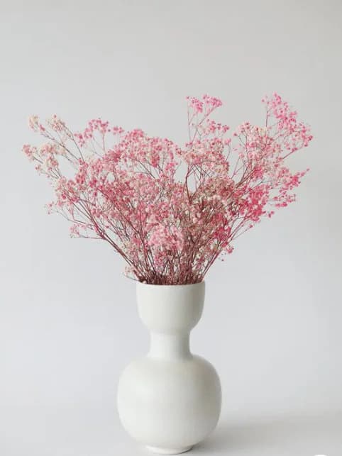 20" Dried Pink Gypsophilia/Baby Breaths/Fall/Thanksgiving/Table Setting/Home Decor/Faux Decor/Decoration/Fall Season/Indoor Decor/Bleached