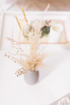 MINI 6-8" 5-100pcs x 2ft Ivory Pampas Grass/Pampas Bundle/Home Decor/Rustic Wedding Decor/Brown Pampas/Ivory Pampas/ Natural Pampas