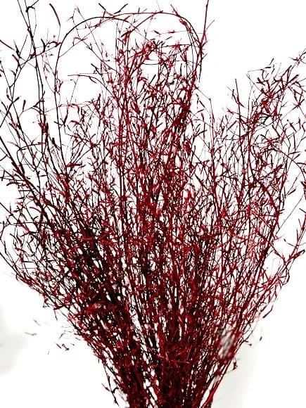 30" Red Whispy Grass/Home Decor/Faux Flowers/Silk Flowers/Spring Wedding/Summer Wedding/Rustic/Branches/Vase Filler/Faux Decor