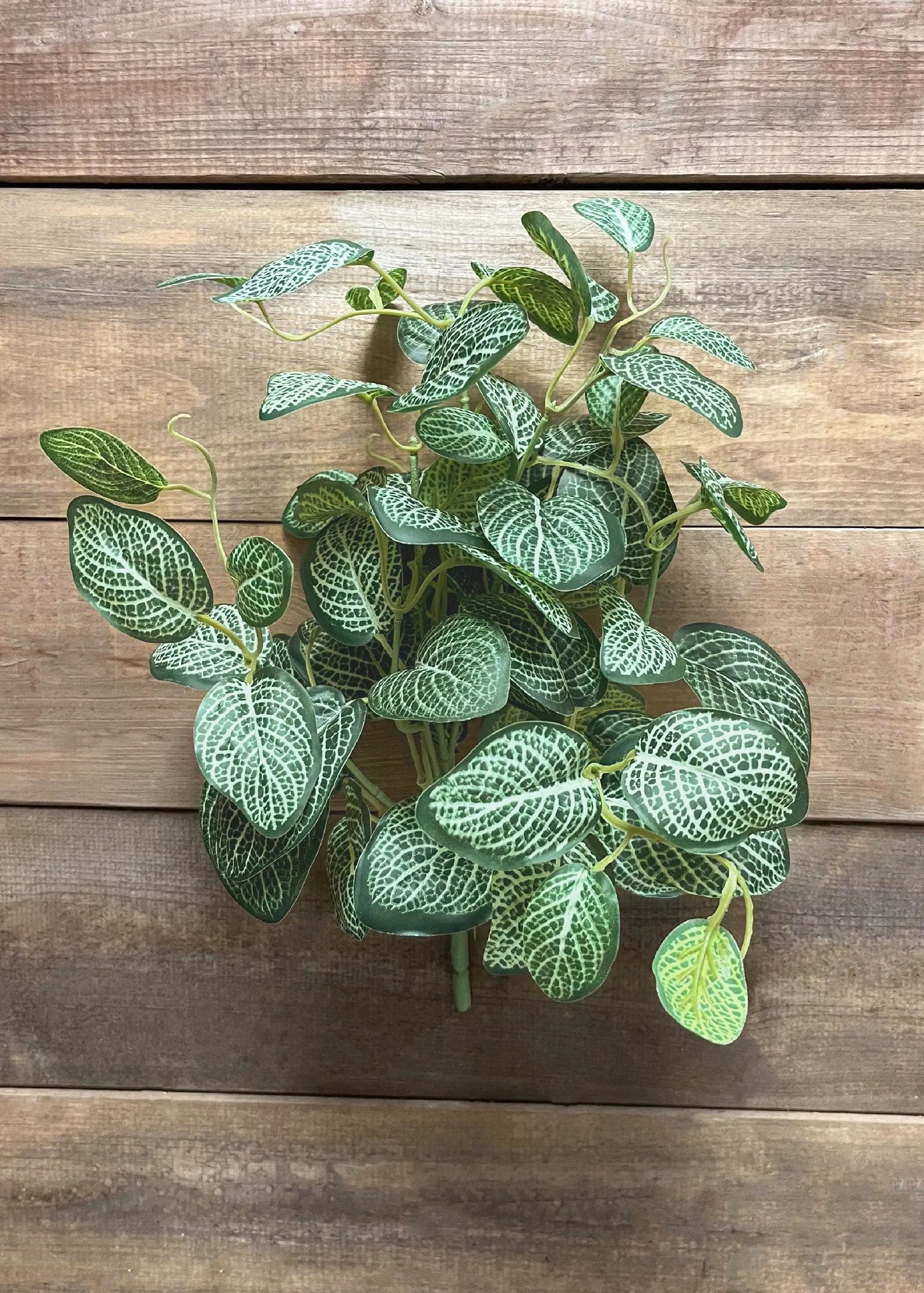 15” Faux White & Green Mini Fittonia Bush | Nerve Plant Greenery | 7-Stem Mosaic Leaf Bush | Farmhouse Planter | Artificial Spreading Plant