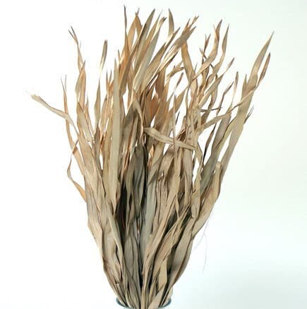 21" Natural Fire Grass/Home Decor/Faux Flowers/Silk Flowers/Spring Wedding/Summer Wedding/Rustic/Branches/Vase Filler/Faux Decor