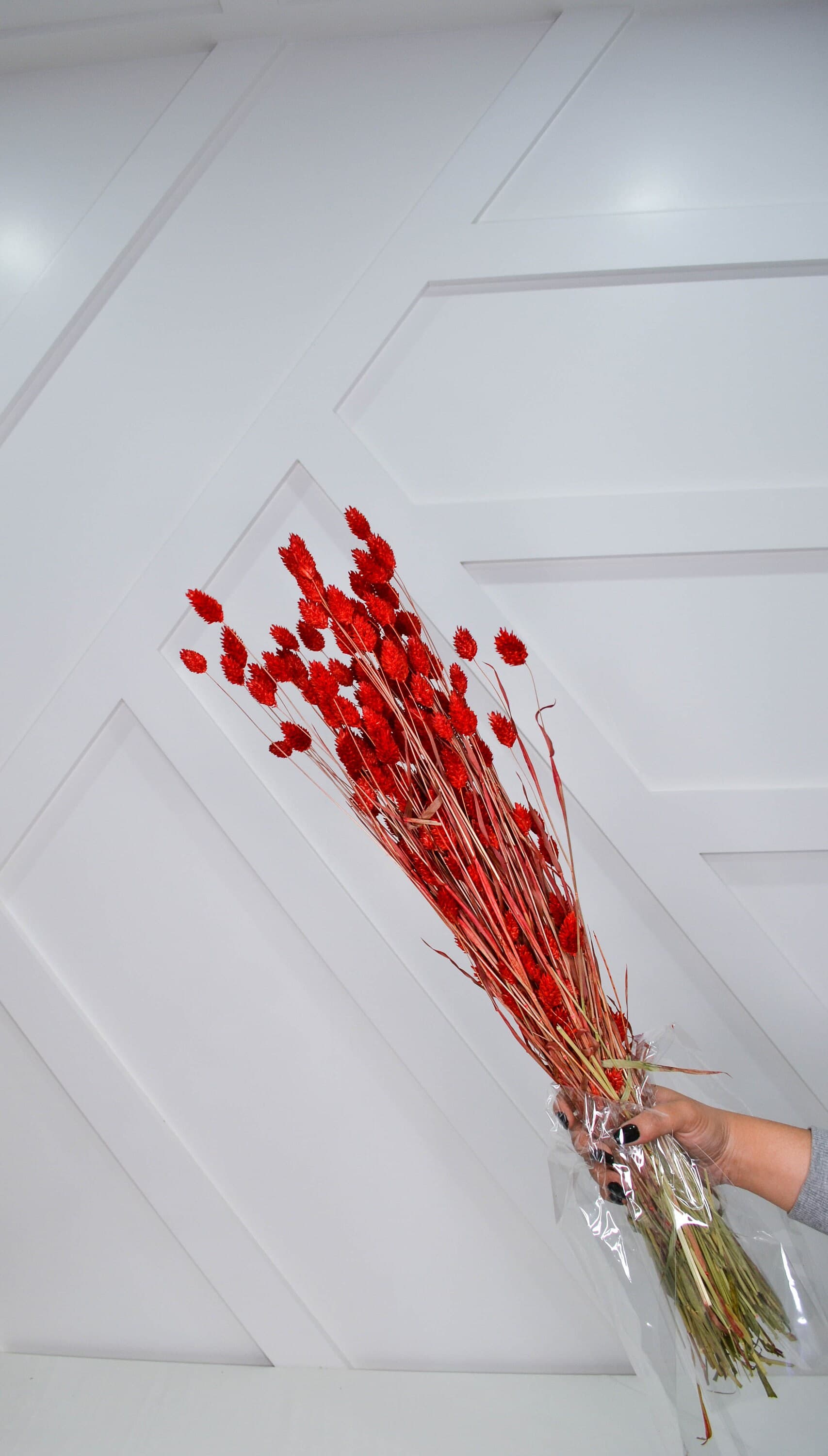 26" Red Phalaris 4oz/Fall/Thanksgiving/Table Setting/Home Decor/Faux Decor/Faux Decoration/Fall Season/Indoor Decor/Artificial/Decor