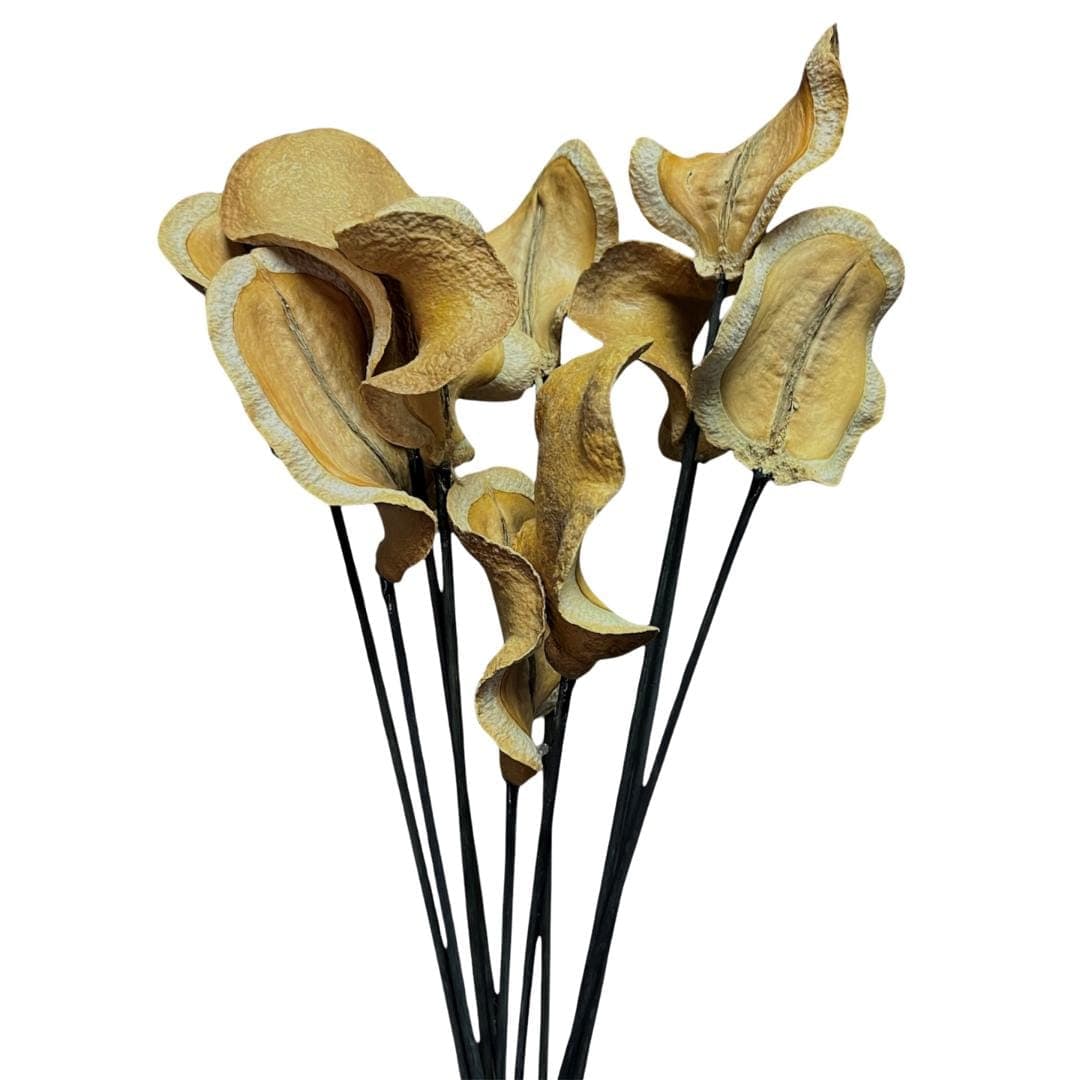 10pc Frogs Mouth Stems/Cones/Pine Cones On Sticks/Rustic Decor Idea/Rustic Bowl Filler/Home Decor/Rustic Table Decor/Vase Filler