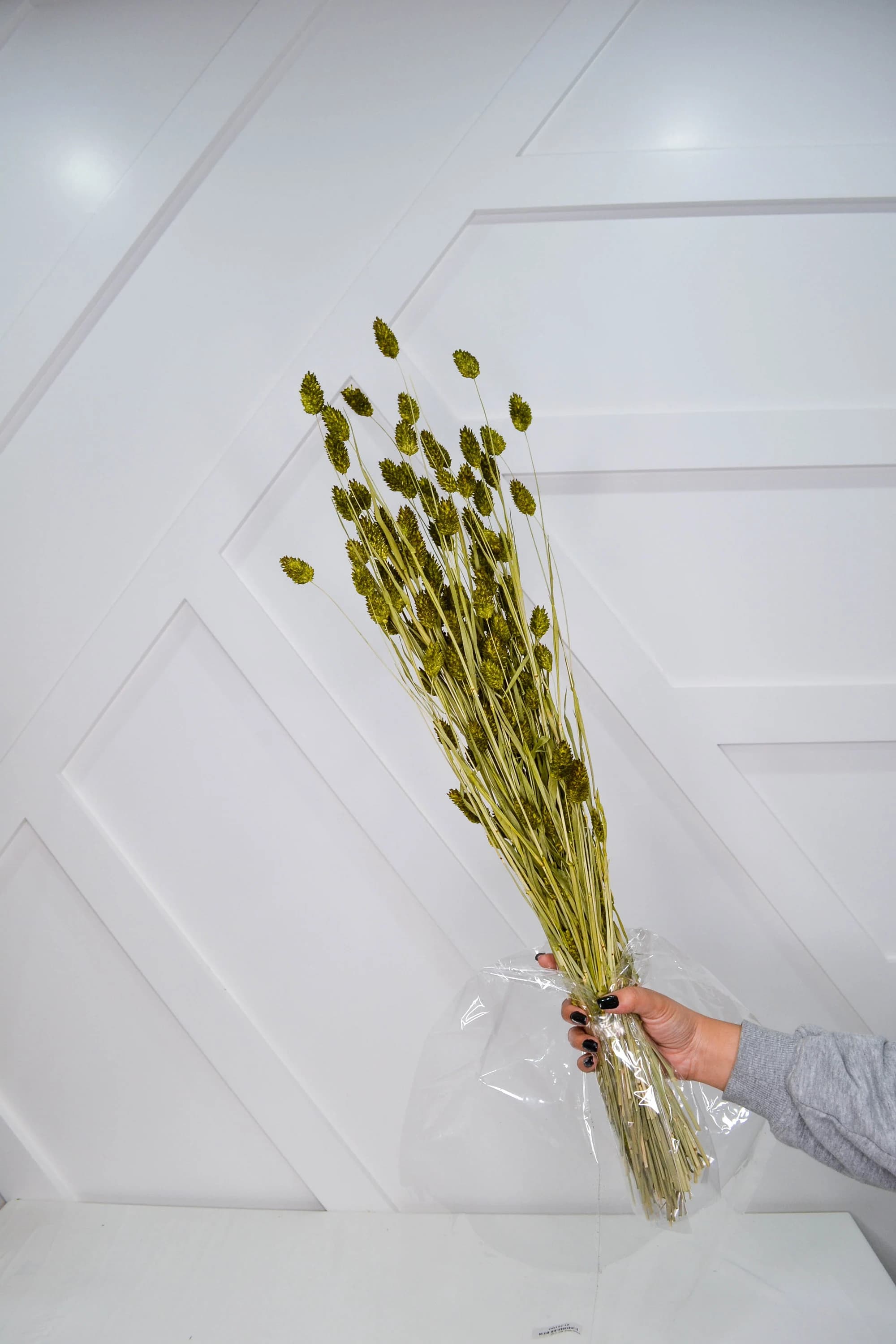 26" Moss Phalaris 4oz/Fall/Thanksgiving/Table Setting/Home Decor/Faux Decor/Faux Decoration/Fall Season/Indoor Decor/Artificial/Decor