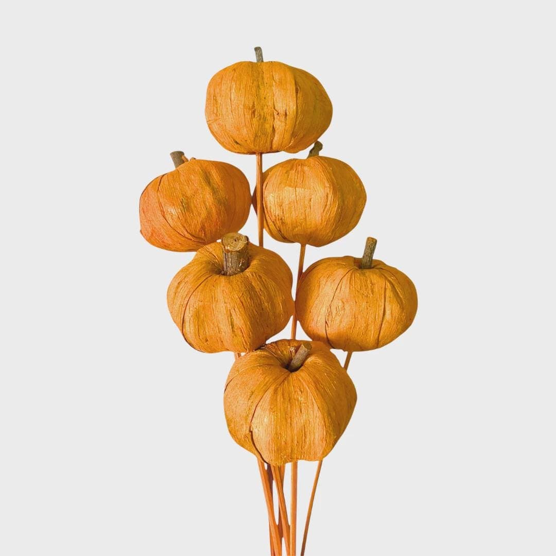3" Orange Pumpkin Wicker Balls on Sticks 6pc  Decorative Balls, Rustic Decor Rustic Bawl Filler, Wicker Decoration,  Rustic Table Decor