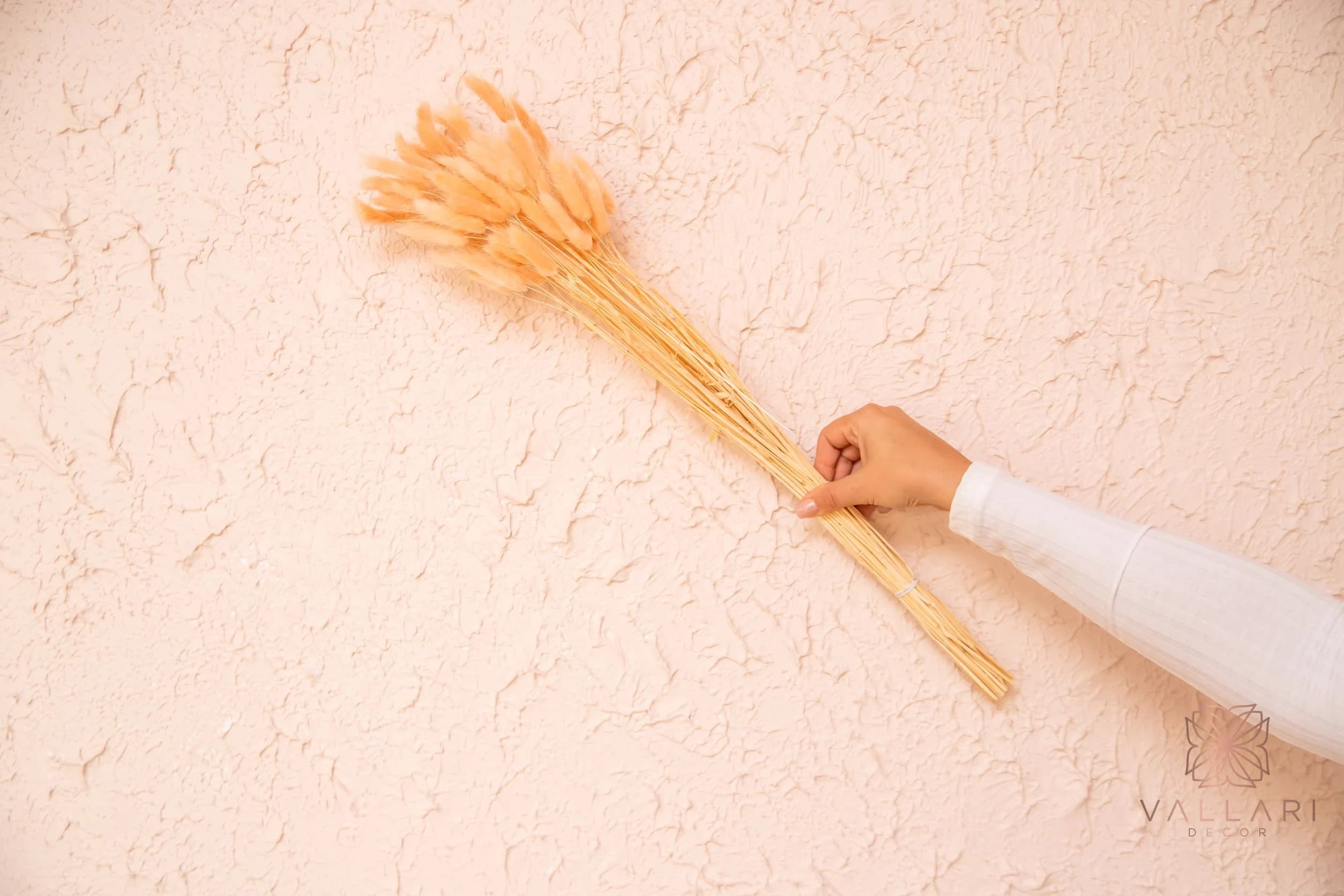50 Piece Bunny Tails/ Pampas Bundle/Home Decor/ Rustic Wedding Decor/ Dried Bunny Tail/ Ivory Pampas/ Natural Pampas/ 18" Long Pampas
