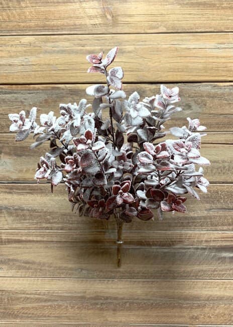 16" Snowy Burgundy Aglaia Bush/Holiday Decor/Christmas Decorations/Poinsettia Picks/Poinsettia Flowers/Poinsettia Plant