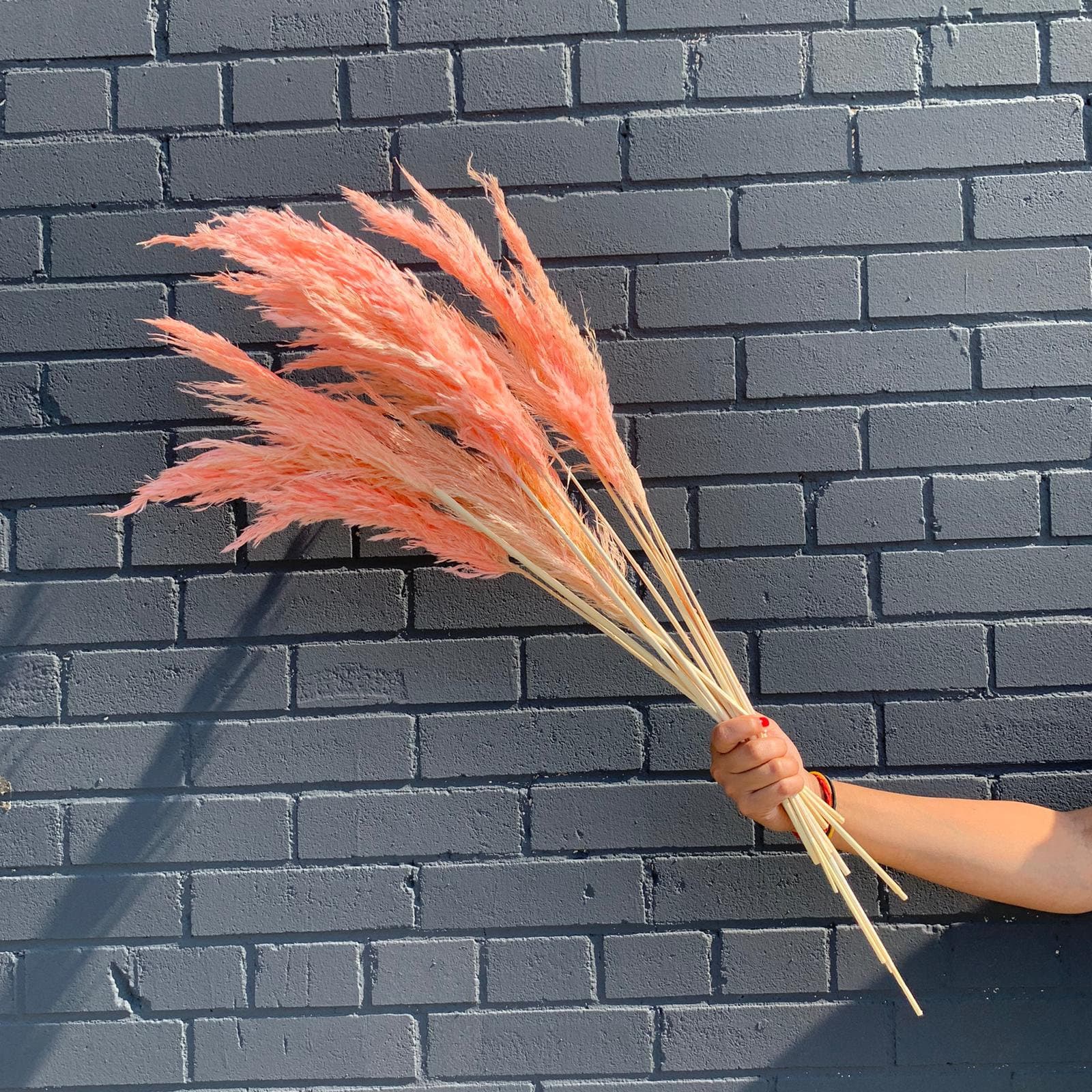 SMALL 30"Light Pink/Blush Pampas Grass/Assorted Sizes/Home Decor/Wedding Decor/Blush Wedding/Blush Pampas/Light Pink Pampas/ Natural Pampas